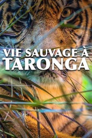 Image Vie sauvage à Taronga