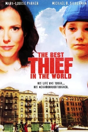 Poster The Best Thief in the World 2004