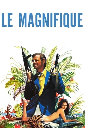 Poster Le Magnifique 1973
