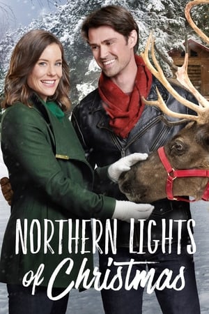 Poster Northern Lights of Christmas 2018