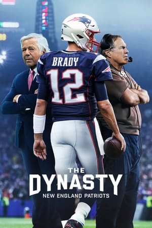 Image '미식축구 전설의 팀 패트리어츠' - The Dynasty: New England Patriots