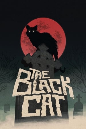Image A fekete macska