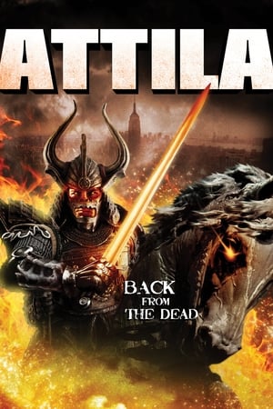 Poster Attila 2013