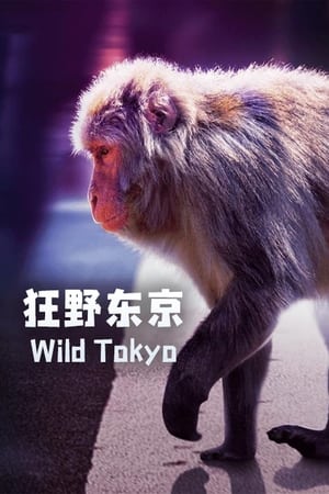 Image Wild Tokyo