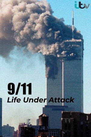 Image 9/11- A terror árnyékában