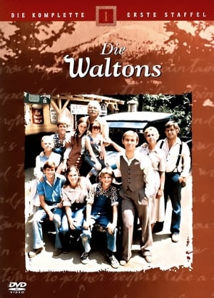 Poster Die Waltons Staffel 7 1978