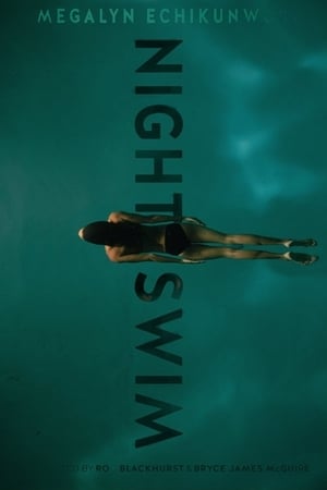 Poster Night Swim 2014