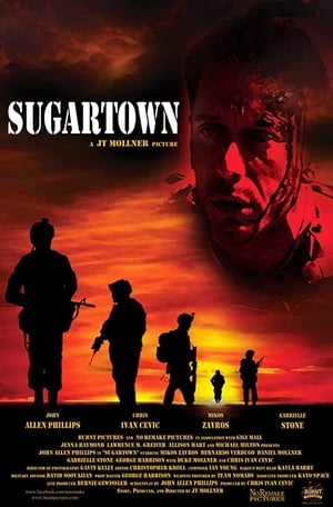 Poster Sugartown 2011