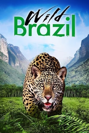 Poster Wild Brazil 2014