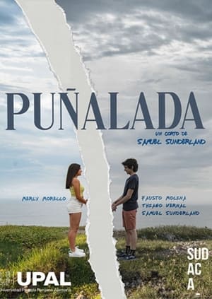 Poster Puñalada 2021