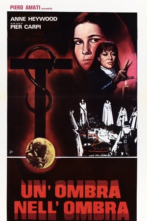 Poster Un ombra nell'ombra 1979