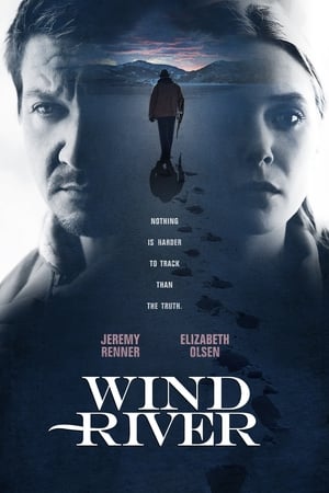 Poster Wind River 2017