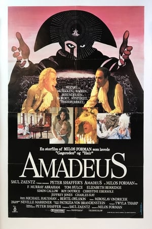 Image Amadeus