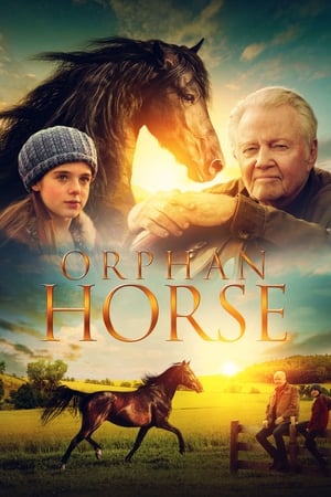 Poster Orphan Horse 2018