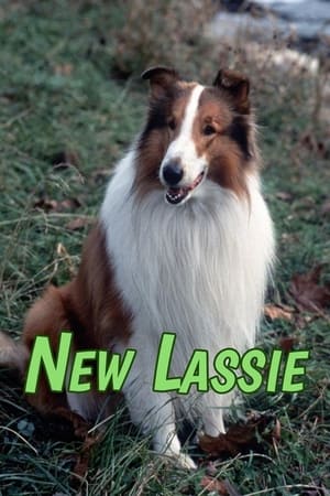 Poster The New Lassie 1989