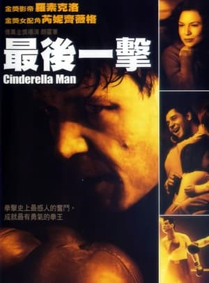 Poster 铁拳男人 2005