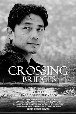 Poster Crossing Bridges 2014