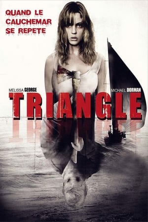 Poster Triangle 2009
