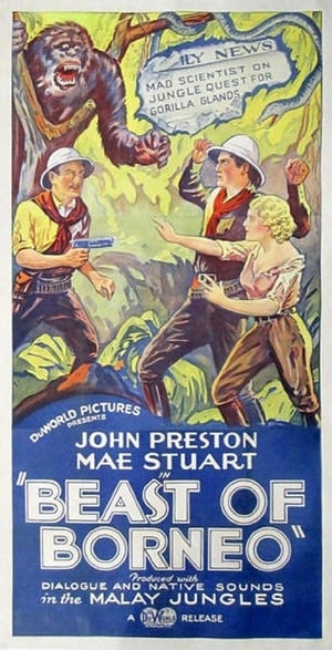 Poster The Beast of Borneo 1934