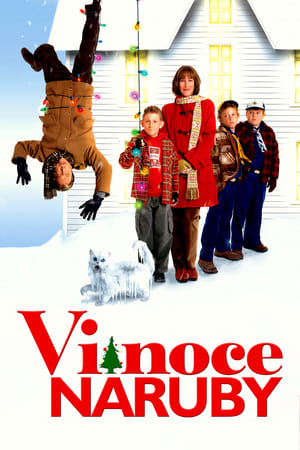 Poster Vianoce naruby 2004