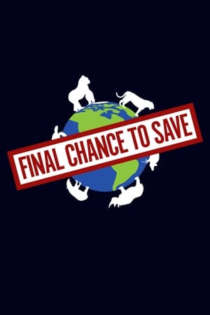 Image Final Chance to Save
