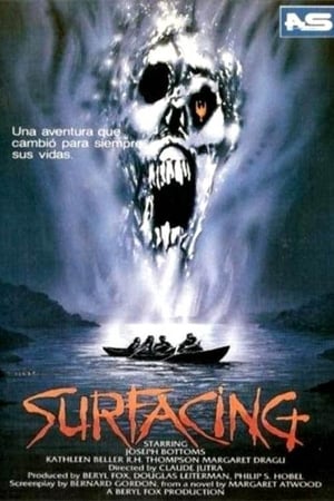 Poster Surfacing 1981