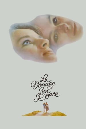 Poster Le Voyage en douce 1980