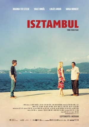 Poster Isztambul 2012