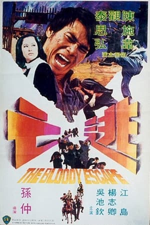 Poster 逃亡 1975
