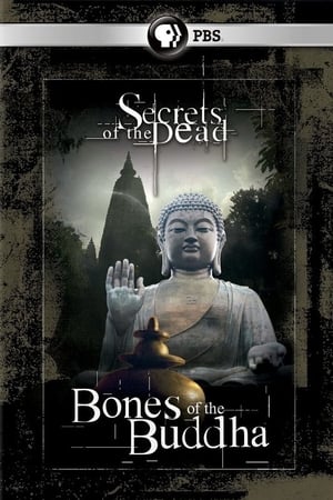 Poster Bones of the Buddha 2013
