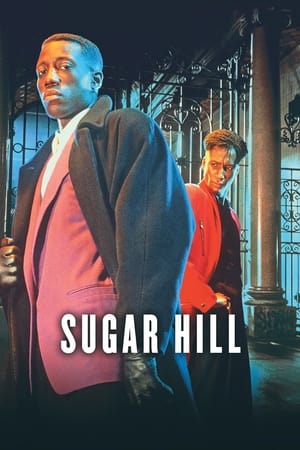 Poster Sugar Hill 1994