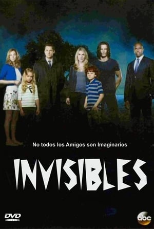 Poster Invisibles 2015