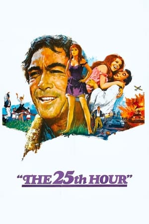 Poster The 25th Hour 1967