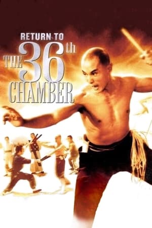 Poster Return to the 36th Chamber 1980