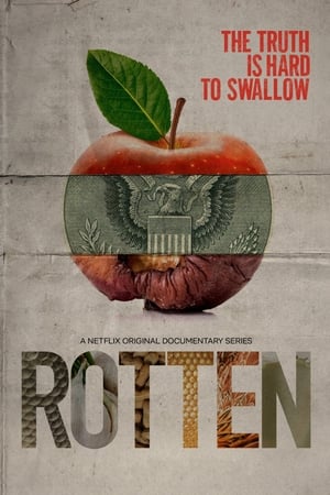 Poster Rotten 2018