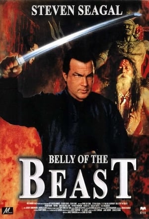 Poster Belly of the Beast - Ultima missione 2003