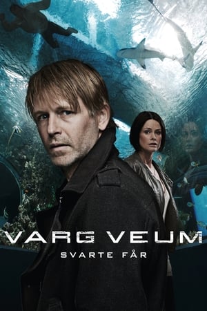 Poster Varg Veum - Svarte får 2011