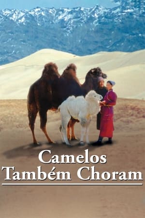 Poster A História de um Camelo que Chora 2003