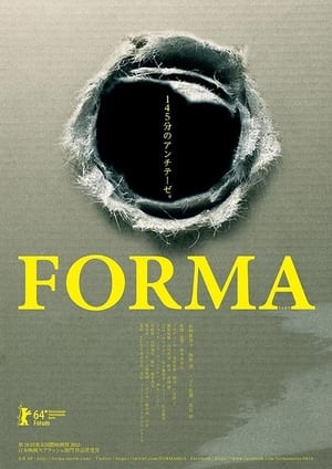 Poster Forma 2013