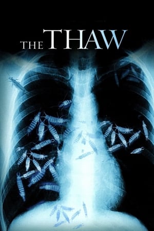 Poster The Thaw 2009