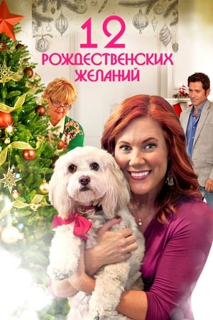 Poster 12 Рождественских желаний 2011