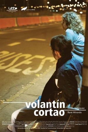 Poster Volantín cortao 2013