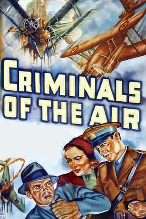 Image Criminals of the Air
