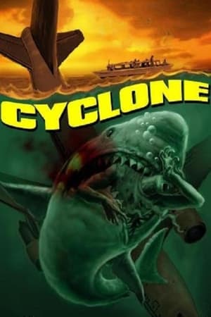 Poster Cyclone 1978