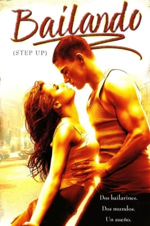 Poster Bailando (Step Up) 2006
