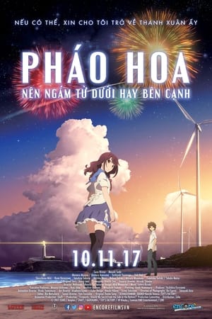 Poster Pháo Hoa, Nên Ngắm Từ Dưới Hay Bên Cạnh? 2017