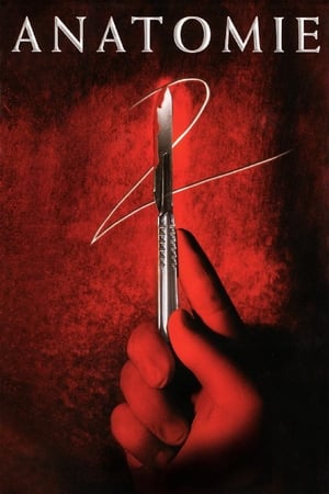 Poster Anatomia 2 2003