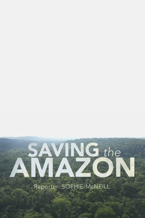 Image Four Corners: Saving the Amazon