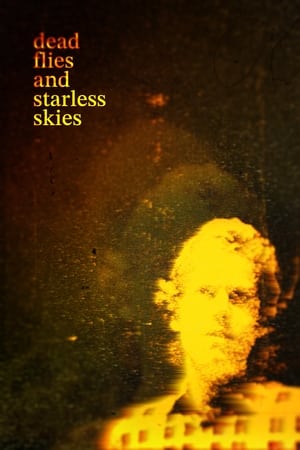 Poster Dead Flies And Starless Skies 2023