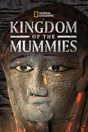Poster Kingdom of the Mummies Season 1 The Broken Seal 2020